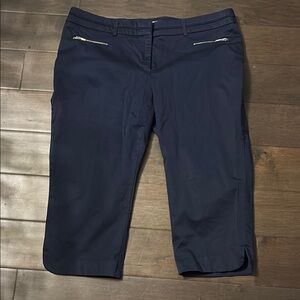 Reitmans women’s Dark Blue Capri Trousers, size 14 Plus